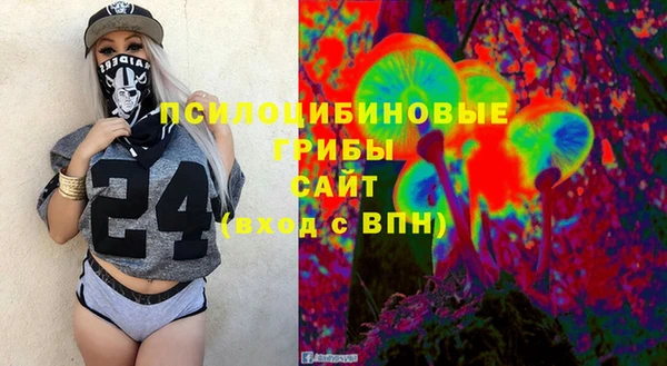 хмурый Алексеевка