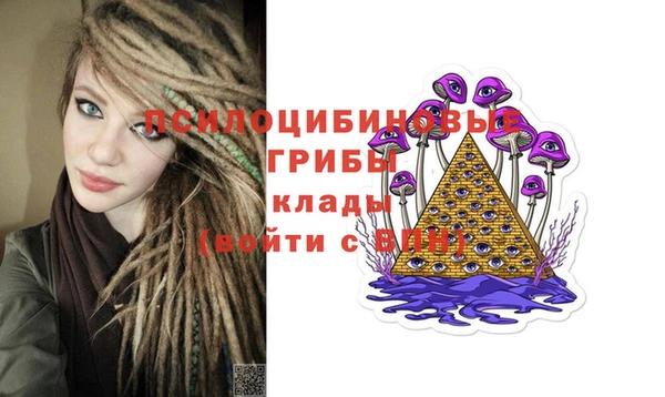 ешки Алзамай