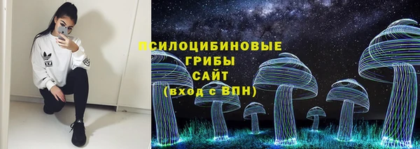 ешки Алзамай