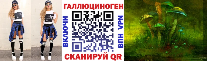 Псилоцибиновые грибы Psilocybe  Межгорье 