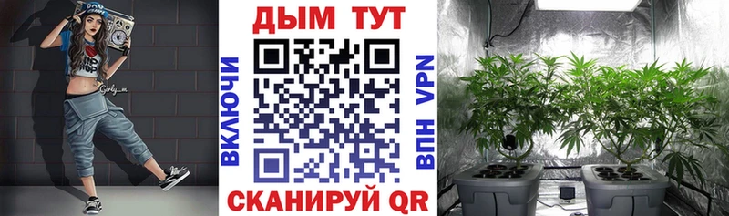 Бошки Шишки тримм  Межгорье 